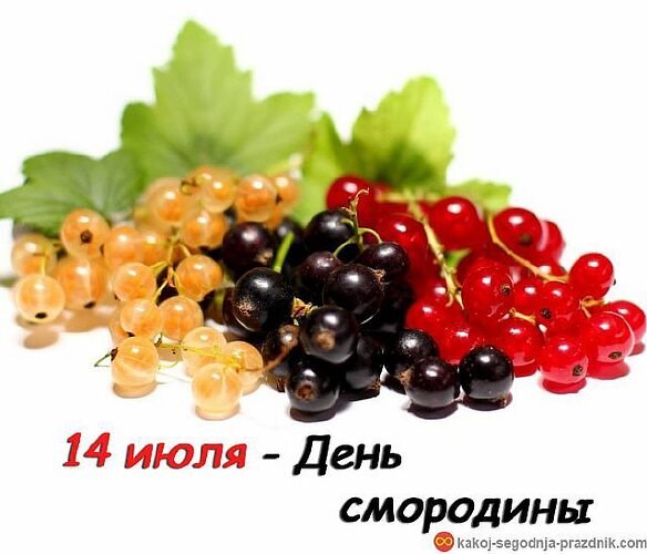 День смородины.14 июля в мире отмечают День смородины. Это праздник садоводов, дачников и всех ...