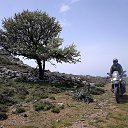 ���� Vangelis, �����, 55 ��� - ��������� 23 ������ 2026 � ������ ���� ����������