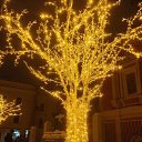 ���� ������, ������, 45 ��� - ��������� 21 ������� 2025 � ������ ���� ����������