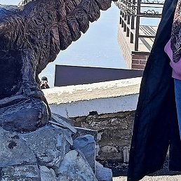 �� ����, ������, 58 ���