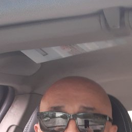 �����, ������, 65 ���