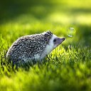 ���� ������ ����, ���������, 39 ��� - ��������� 2 ������� 2024 � ������ ���� ����������