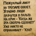 ���� ����, ������, 57 ��� - ��������� 15 ������� 2026 � ������ ������ ��������