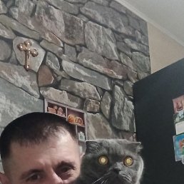 , , 42 