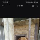 ���� ���� /�����������, ������-��-����, 58 ��� - ��������� 10 ��� 2026 � ������ ���� ����������