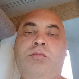 �������, �����, 41 ���