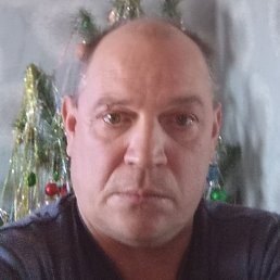 ������, ���������, 46 ���