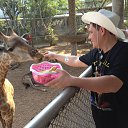 ���� �����, ������������, 36 ��� - ��������� 11 ������� 2026 � ������ ���� ����������