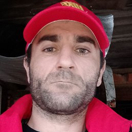 �����, ������, 41 ���