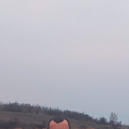 , 36, 
