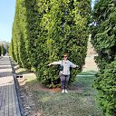 ���� �����, ������ - ��������� 8 ������ 2024 � ������ ����������, ����������, ���������