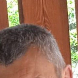 ������, ���������, 56 ���