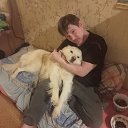 ���� ����, ������������, 34 ���� - ��������� 29 ������ 2025 � ������ ���� ����������