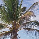 ���� �����, ������� - ��������� 9 ������ 2024 � ������ ���� ����������