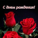 ���� �����, �����, 50 ��� - ��������� 3 ������� 2025 � ������ ���� ����������