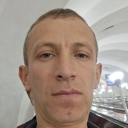 ����, �����-���������, 46 ���