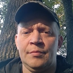 ����������, �������, 39 ���