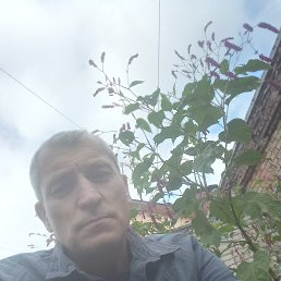 Алексей, , Курск Алексей, , Курск
