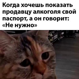 �������, ���������, 45 ���