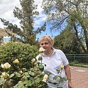 ���� �������, ����, 53 ���� - ��������� 15 ��� 2026 � ������ ���� ����������