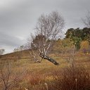 ���� �.�., ���� - ��������� 14 ������� 2025 � ������ �����������.�����.��������