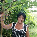 ���� �������, ���������, 66 ��� - ��������� 7 ������� 2025