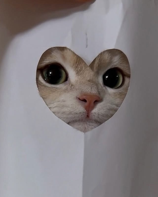 ���� ��� ����� �� �������� ����������, ������ ������� ��� ����� :3