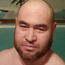 �������, �����-���������, 38 ���