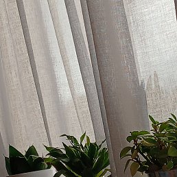 Love, �����, 43 ����