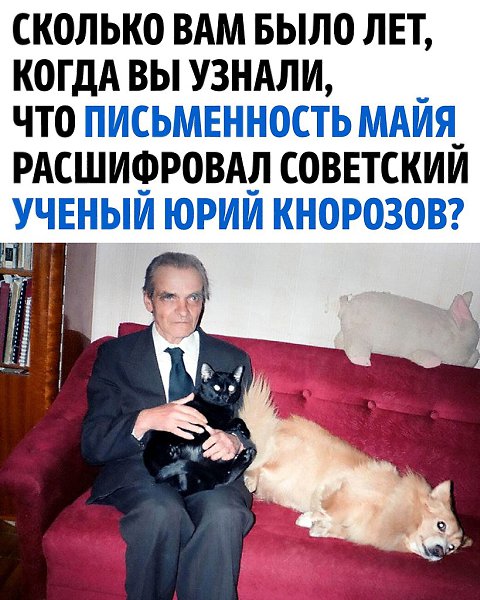 Человек и кошка - история Юрия Кнорозова, расшифровавшего письменность майя Bowt