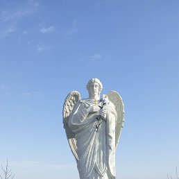 ��������, ����������, 41 ���