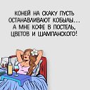 ���� ������, ������������ - ��������� 12 ���� 2026 � ������ ���� ����������
