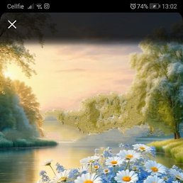 No, �������, 43 ����