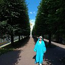  ,  -  5  2025       ,    ,     .