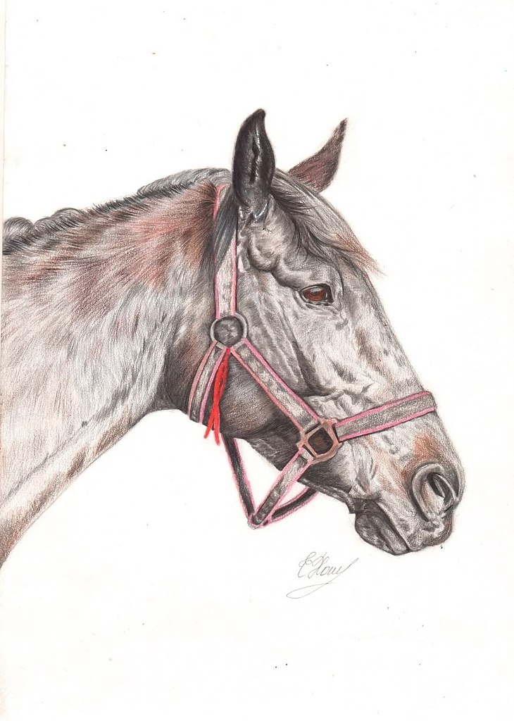 �������� ������� � ���� ����������.