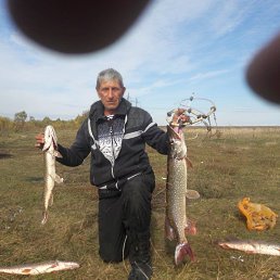 ������, 64 ����, ������