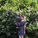 ���� ����, ������, 33 ���� - ��������� 19 ��� 2026 � ������ ������ ��������