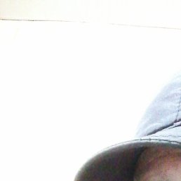 �������, ���������, 51 ���