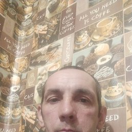 , 41, 