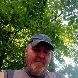 , 54 , -