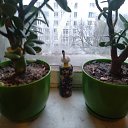 ���� ��� ������ �����, ���� - ��������� 30 ������ 2025 � ������ ������ ��������