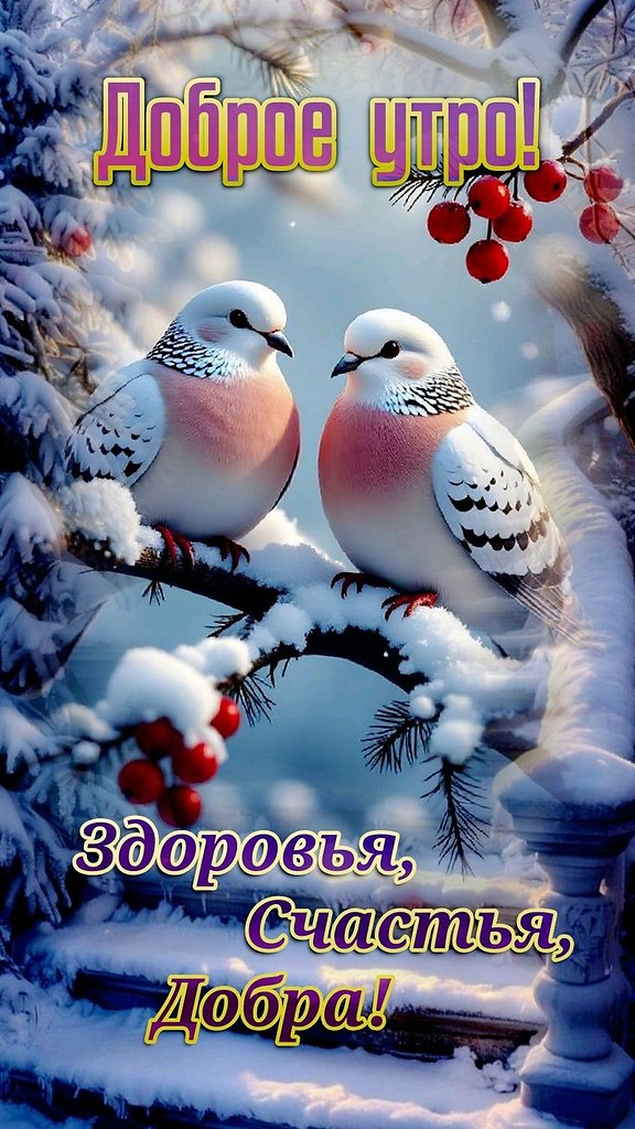 ���� �� ���������(������) - 8 ������ 2026 � 07:33