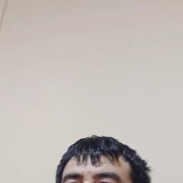 ����, 55 ���, ����