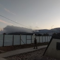 ������, ������, 53 ����