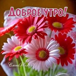 ���� ��������, ������, 51 ��� - ��������� 12 ������ 2026