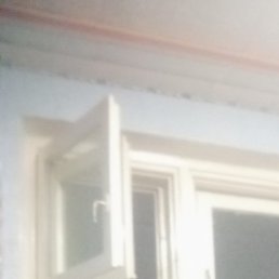 Ը���, ����������, 48 ���