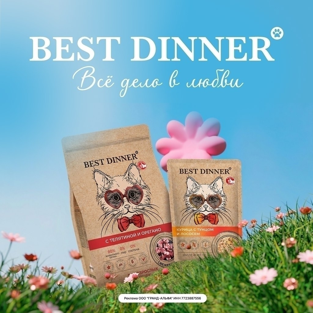 ������ ������, ��� ��������� �������? �����������: BEST DINNER Holistic! ��� �� ������ ���� - ��� ...