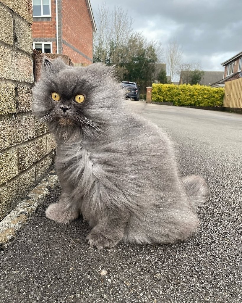 ,   ! ,           - 3