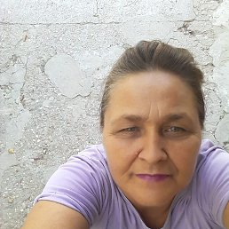 , 61, 