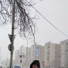 �����, �����������, 48 ���